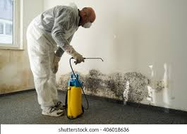 Best Mold Prevention Services  in Hotchkiss, CO